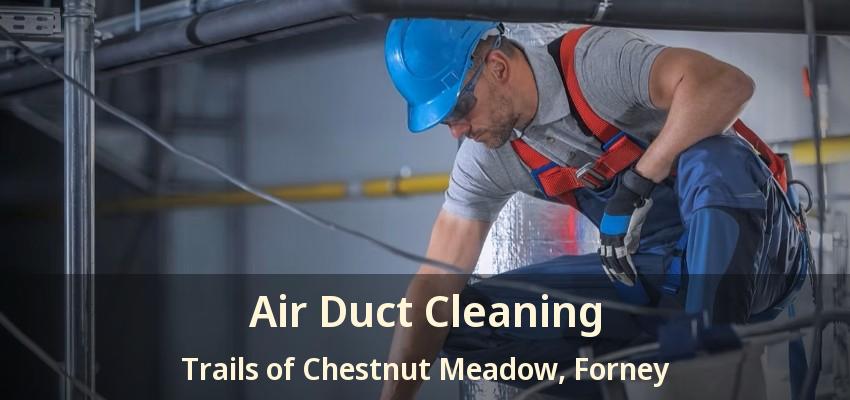Air Duct Cleaning Trails of Chestnut Meadow, Forney - TX