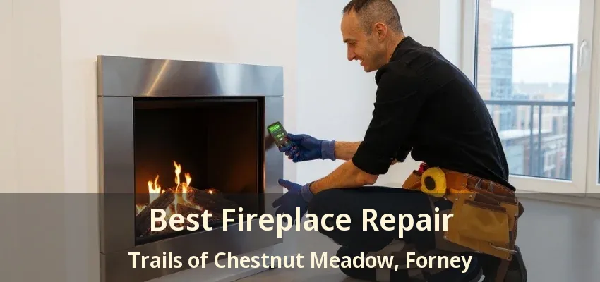 Best Fireplace Repair Trails of Chestnut Meadow, Forney - TX