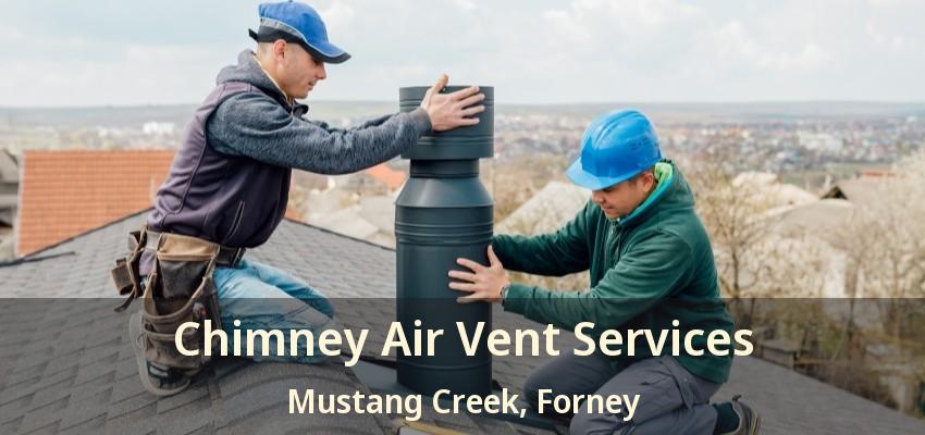 Chimney Air Vent Services Mustang Creek, Forney - TX