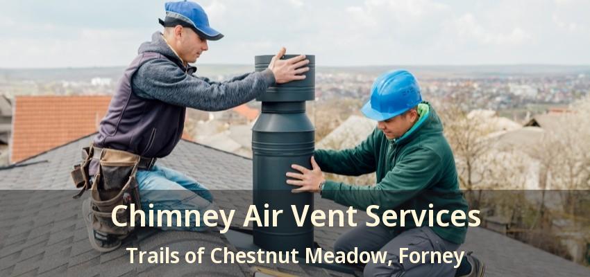 Chimney Air Vent Services Trails of Chestnut Meadow, Forney - TX