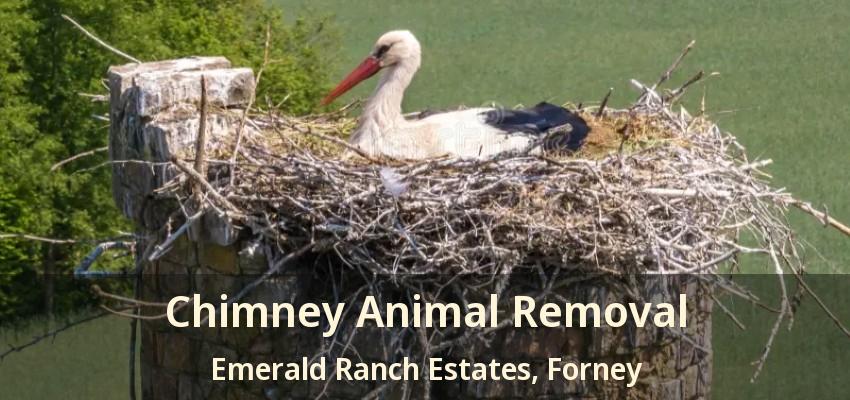 Chimney Animal Removal Emerald Ranch Estates, Forney - TX