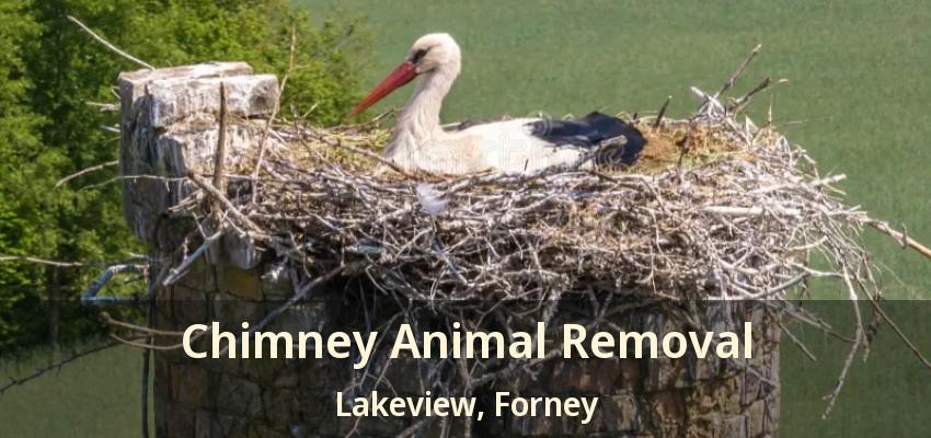 Chimney Animal Removal Lakeview, Forney - TX