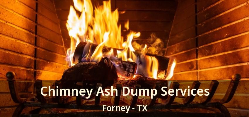 Chimney Ash Dump Services Forney - TX