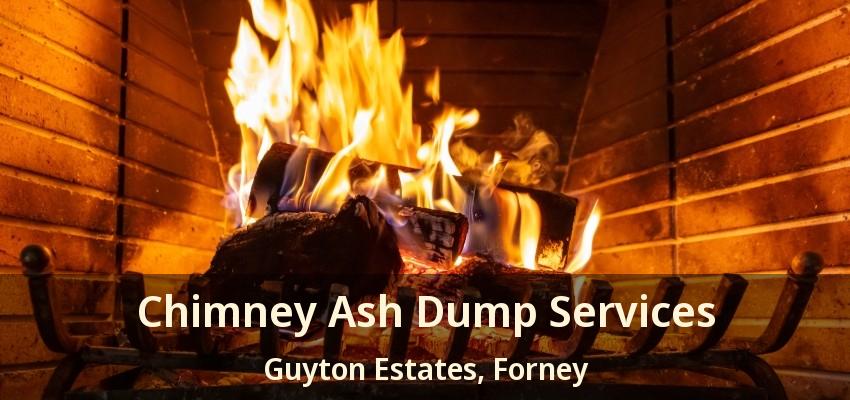 Chimney Ash Dump Services Guyton Estates, Forney - TX