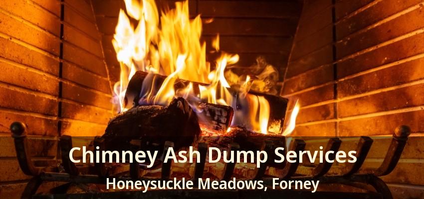 Chimney Ash Dump Services Honeysuckle Meadows, Forney - TX