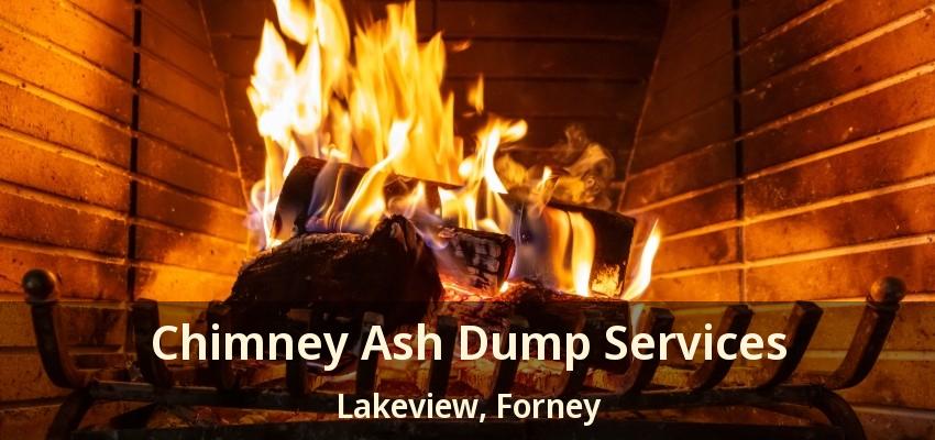 Chimney Ash Dump Services Lakeview, Forney - TX