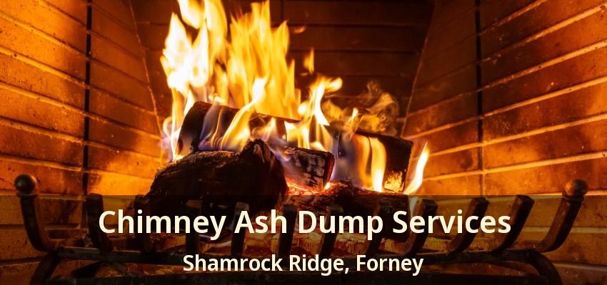 Chimney Ash Dump Services Shamrock Ridge, Forney - TX