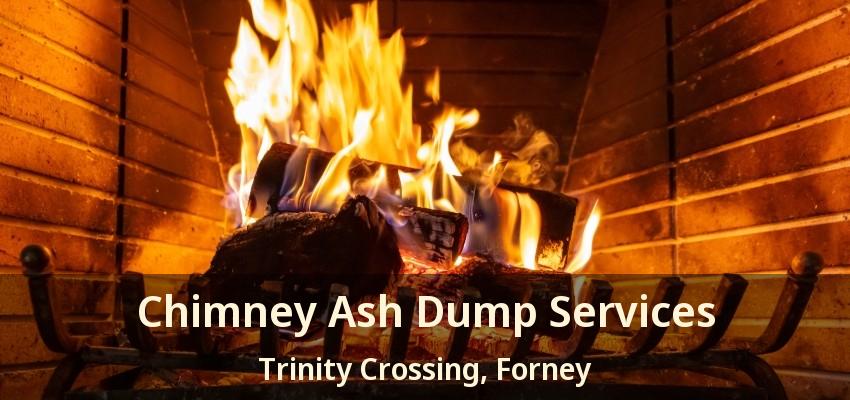 Chimney Ash Dump Services Trinity Crossing, Forney - TX