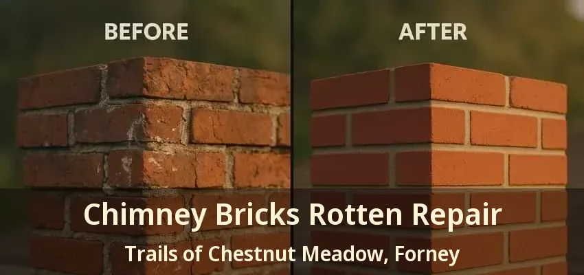 Chimney Bricks Rotten Repair Trails of Chestnut Meadow, Forney - TX