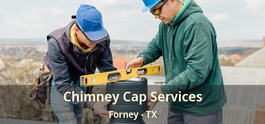 Chimney Cap Services Forney - TX