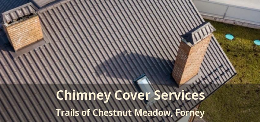 Chimney Cover Services Trails of Chestnut Meadow, Forney - TX
