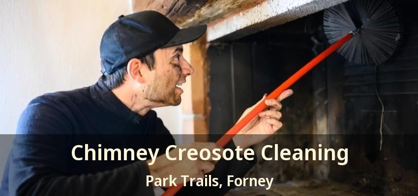 Chimney Creosote Cleaning Park Trails, Forney - TX