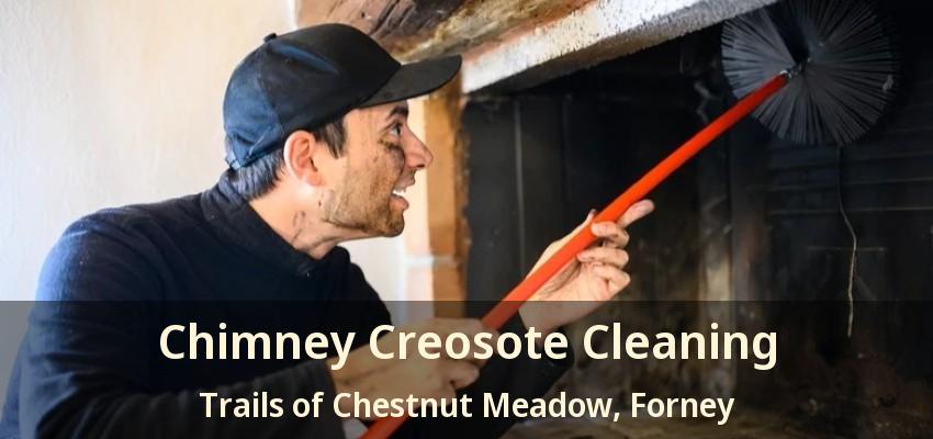 Chimney Creosote Cleaning Trails of Chestnut Meadow, Forney - TX