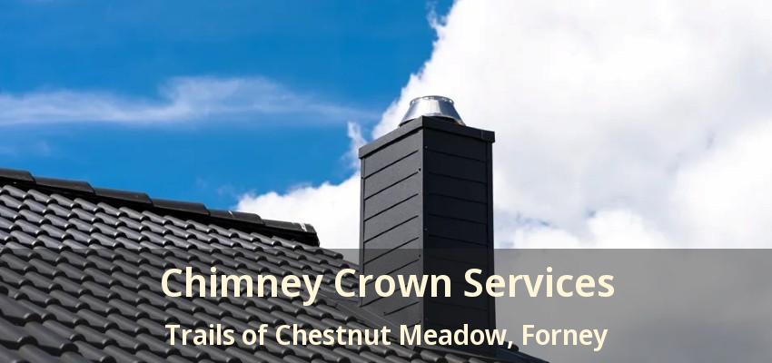 Chimney Crown Services Trails of Chestnut Meadow, Forney - TX