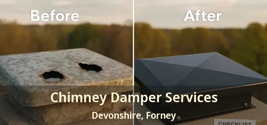 Chimney Damper Services Devonshire, Forney - TX