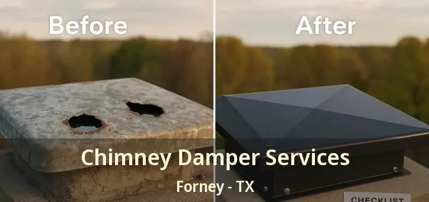 Chimney Damper Services Forney - TX