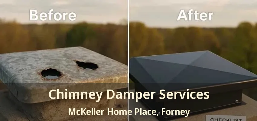 Chimney Damper Services McKeller Home Place, Forney - TX