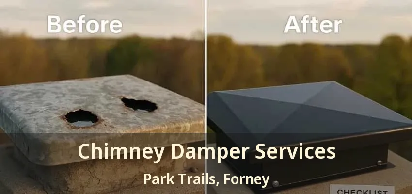 Chimney Damper Services Park Trails, Forney - TX