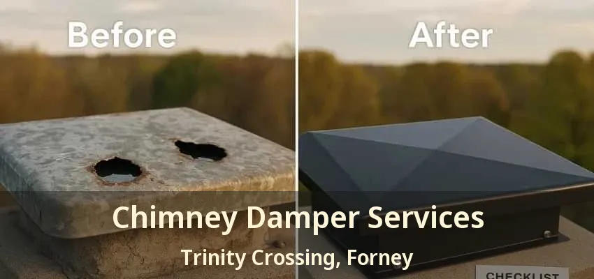 Chimney Damper Services Trinity Crossing, Forney - TX