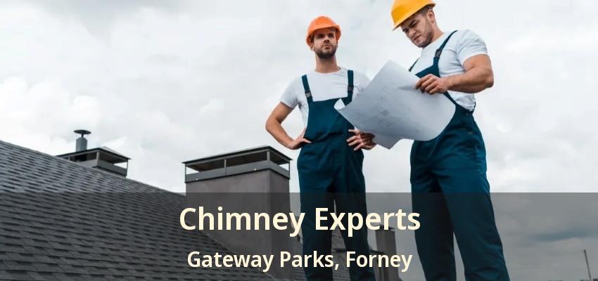 Chimney Experts Gateway Parks, Forney - TX