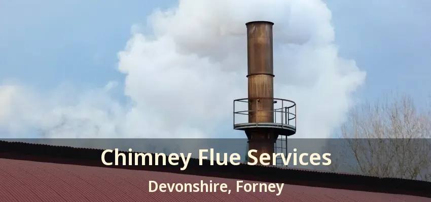 Chimney Flue Services Devonshire, Forney - TX