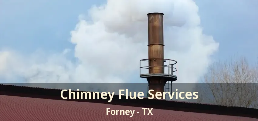 Chimney Flue Services Forney - TX