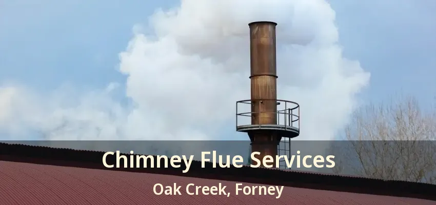 Chimney Flue Services Oak Creek, Forney - TX