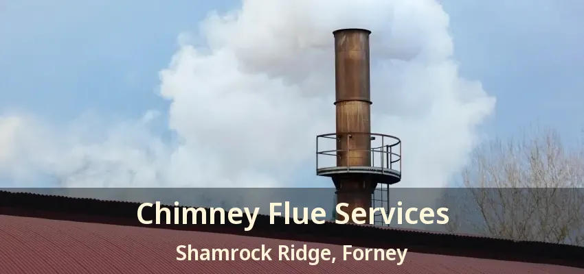 Chimney Flue Services Shamrock Ridge, Forney - TX