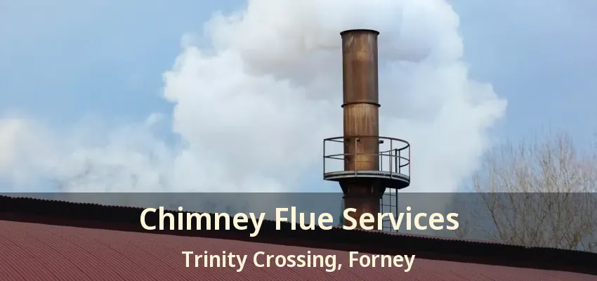 Chimney Flue Services Trinity Crossing, Forney - TX