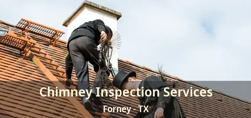 Chimney Inspection Services Forney - TX