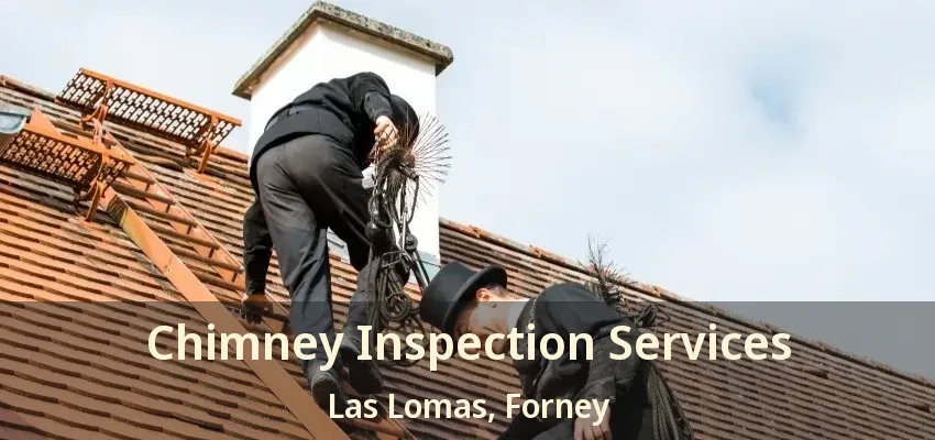 Chimney Inspection Services Las Lomas, Forney - TX