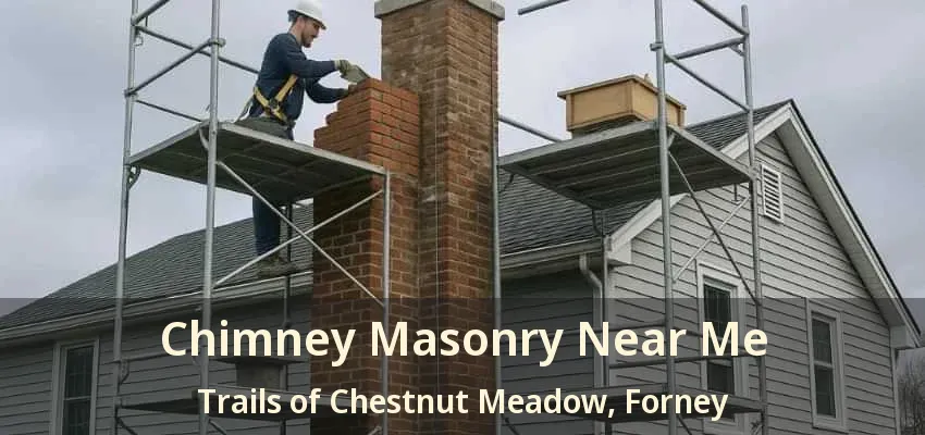 Chimney Masonry Near Me Trails of Chestnut Meadow, Forney - TX