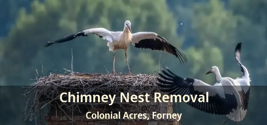 Chimney Nest Removal Colonial Acres, Forney - TX