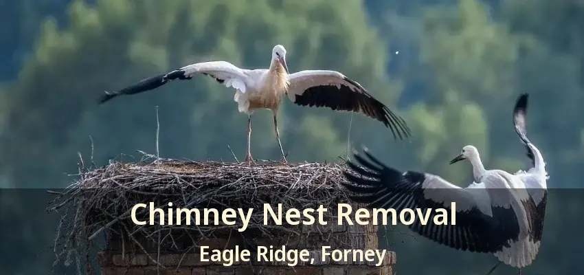 Chimney Nest Removal Eagle Ridge, Forney - TX