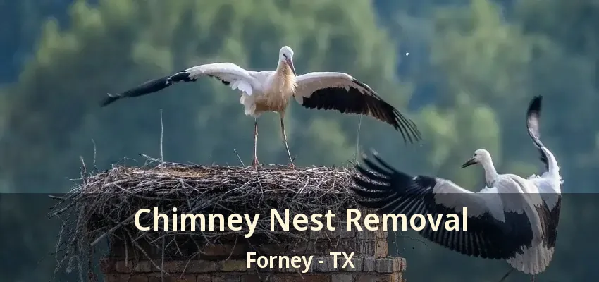 Chimney Nest Removal Forney - TX