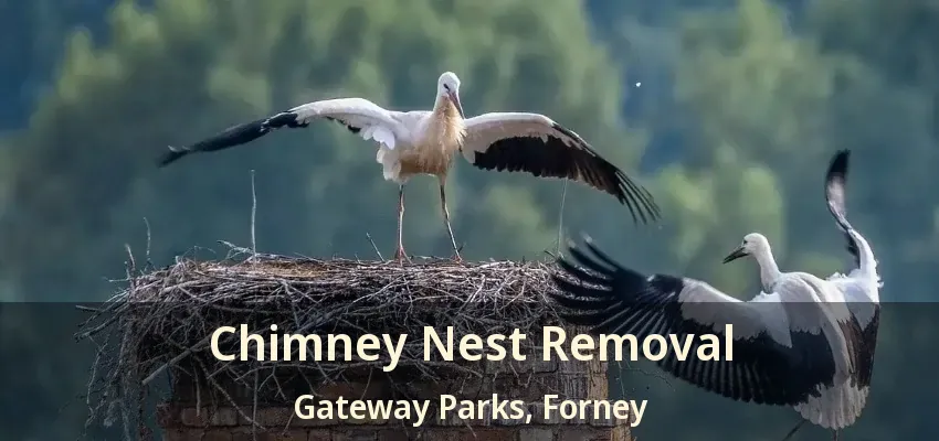 Chimney Nest Removal Gateway Parks, Forney - TX