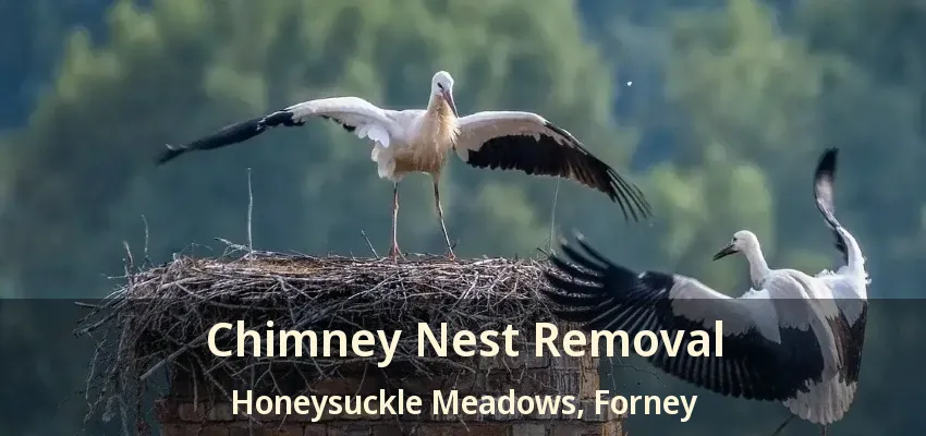 Chimney Nest Removal Honeysuckle Meadows, Forney - TX