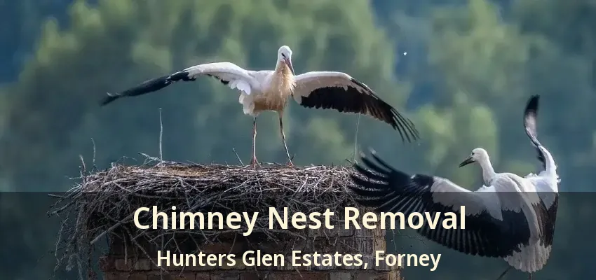 Chimney Nest Removal Hunters Glen Estates, Forney - TX