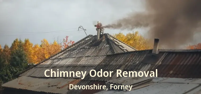 Chimney Odor Removal Devonshire, Forney - TX