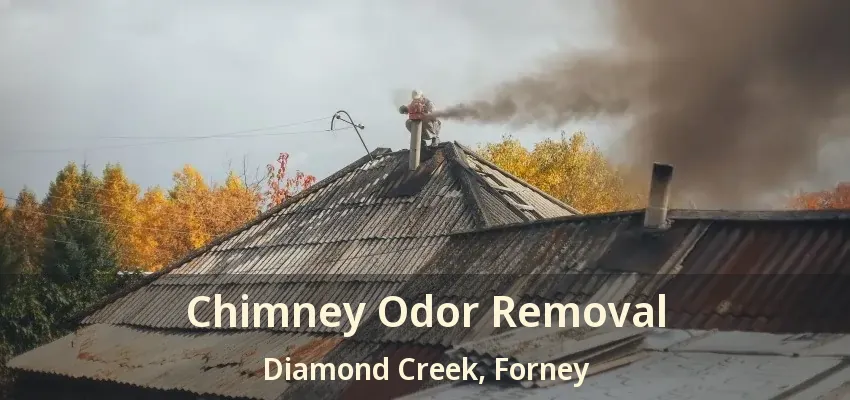 Chimney Odor Removal Diamond Creek, Forney - TX