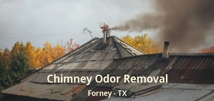 Chimney Odor Removal Forney - TX