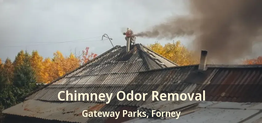 Chimney Odor Removal Gateway Parks, Forney - TX