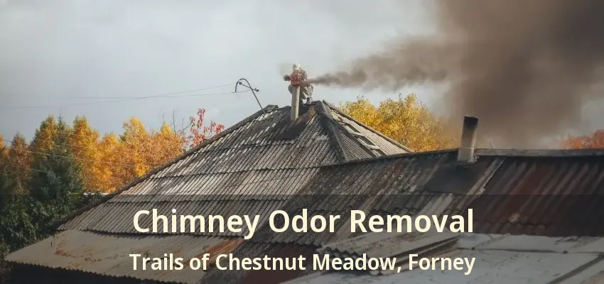Chimney Odor Removal Trails of Chestnut Meadow, Forney - TX