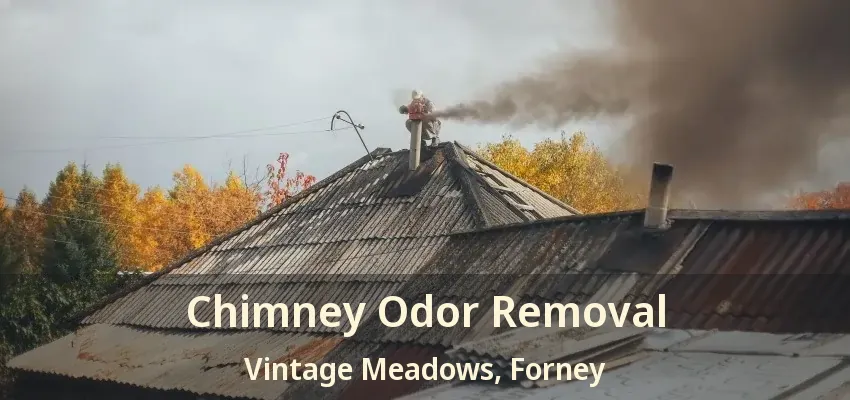 Chimney Odor Removal Vintage Meadows, Forney - TX