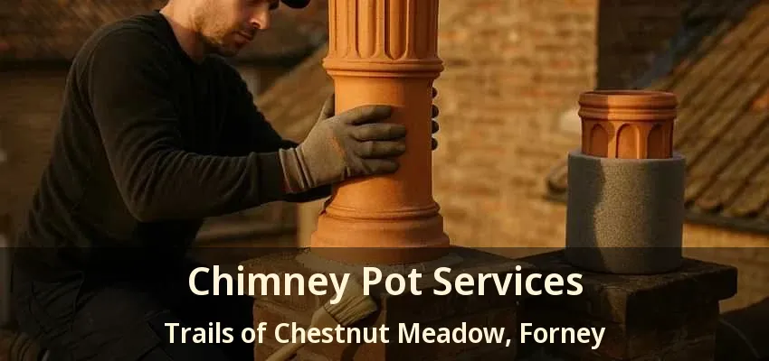 Chimney Pot Services Trails of Chestnut Meadow, Forney - TX