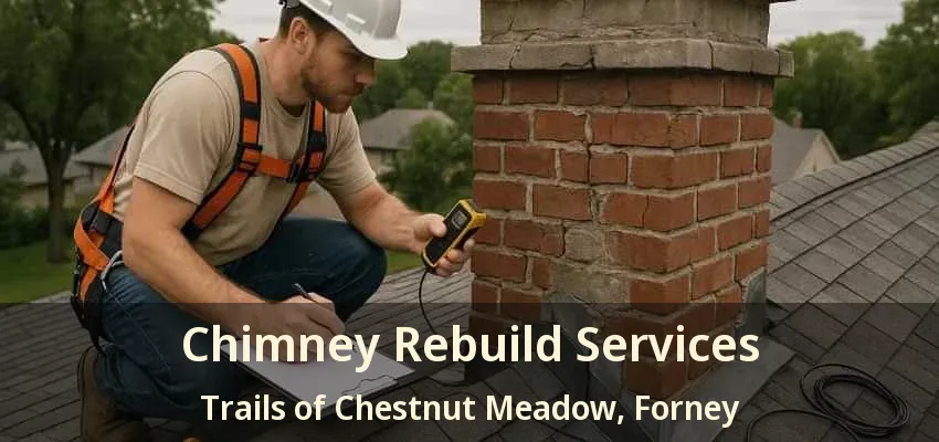 Chimney Rebuild Services Trails of Chestnut Meadow, Forney - TX