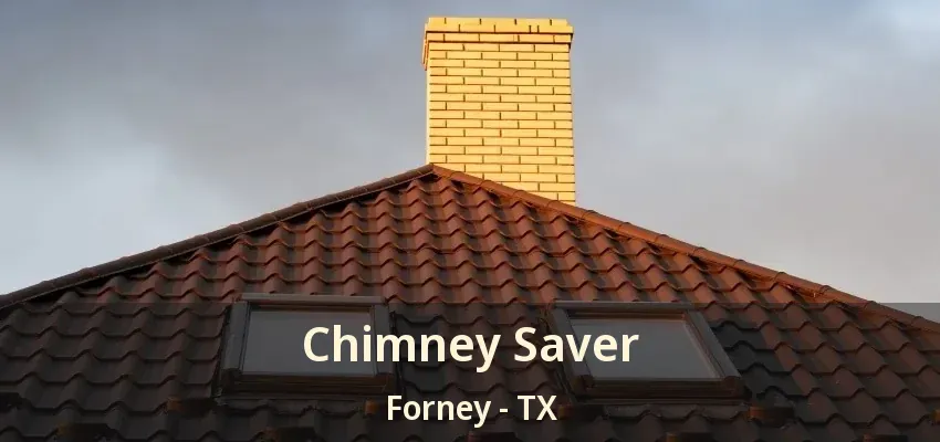 Chimney Saver Forney - TX