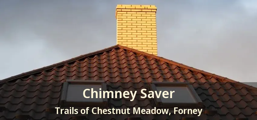Chimney Saver Trails of Chestnut Meadow, Forney - TX