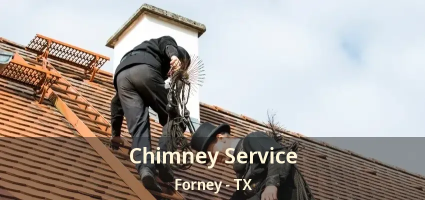 Chimney Service Forney - TX