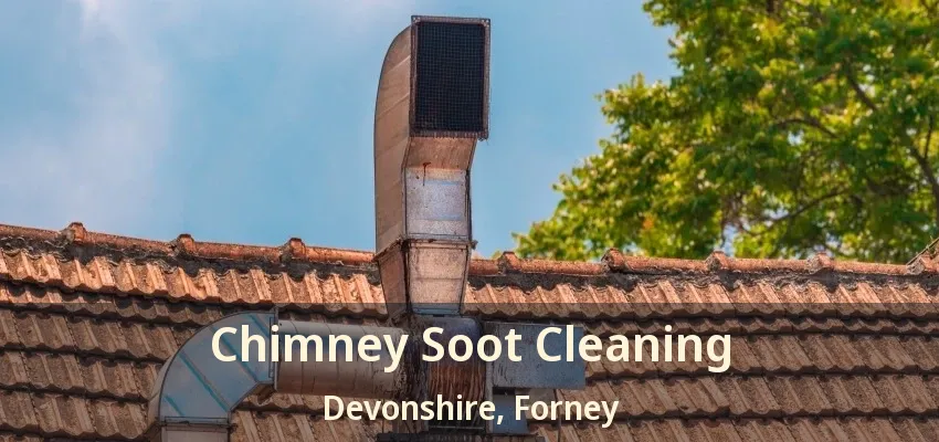 Chimney Soot Cleaning Devonshire, Forney - TX